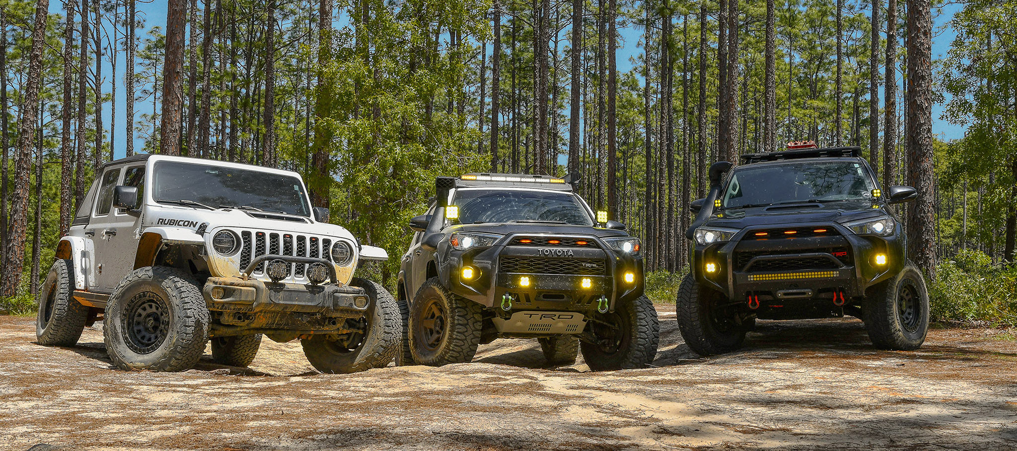 AMBASSADOR MEET-UP / Citrus WMA - Inverness, Florida